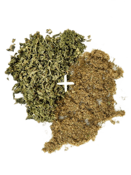 Mango Dream Shake + KIEF Bundle