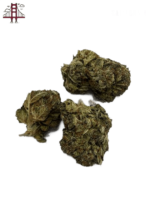 Refreshers Strain UK